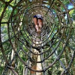 Treetop Adventure Experience 1D